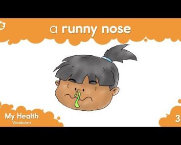 Health Vocabulary for Kids – Kids Learning Videos (Fun Children’s Learning)