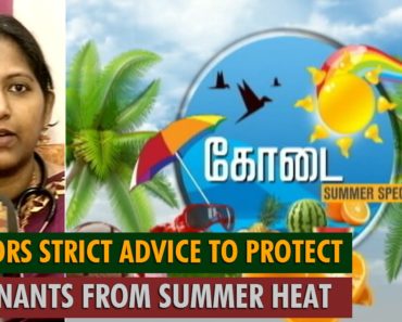 Doctors Strict Advice to Protect Pregnant Women from Scorching Summer Heat – Thanthi TV