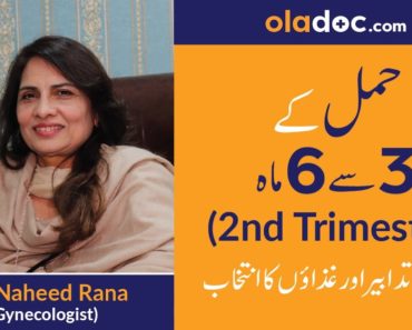 Second Trimester of Pregnancy Tips (Urdu/Hindi) | Hamal ke 3 se 6 maah | Top Gynecologist Tips