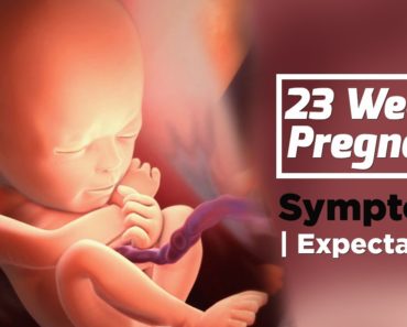 23 Weeks Pregnant Baby Position | Health Care Tips For Pregnant Women
