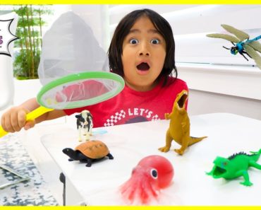Ryan's bug catching with animals pretend play and learn animals facts!!!