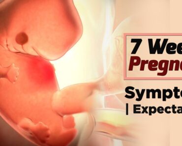 7 Weeks Pregnant Women's Health | Care Tips For Pregnant Lady – Problems Faced By Pregnant Women
