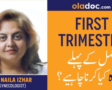 First Trimester of Pregnancy Tips Urdu Hindi – Hamal Ke Pehle Teen Maah-Week by Week Pregnancy Diet