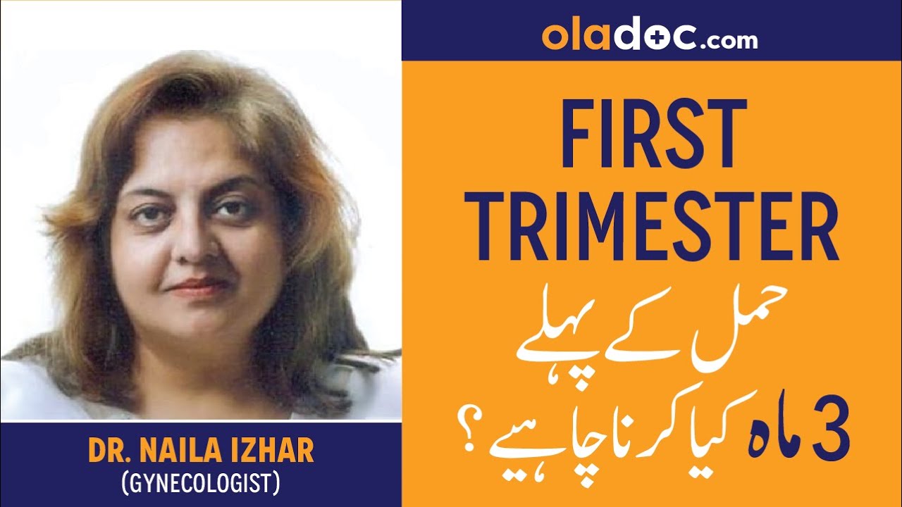 First Trimester of Pregnancy Tips Urdu Hindi Hamal Ke Pehle Teen Maah