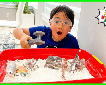 Easy DIY Science Experiment for Kids How to make Dinosaur Fossil Dig Exploration!