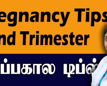 Pregnancy tips 2nd Trimester கர்ப்ப கால டிப்ஸ் Best Obstetrician in Coimbatore Chennai