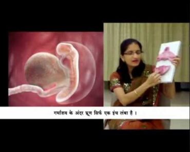 Health tips for First and second month of pregnancy-Dr.Geetanjali Shah.