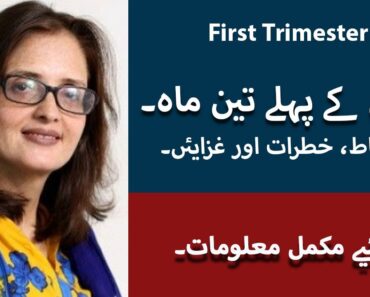 First Trimester of Pregnancy Tips In Urdu/Hindi | Hamal K Pehle Teen Mah | Dr. Misbah Malik