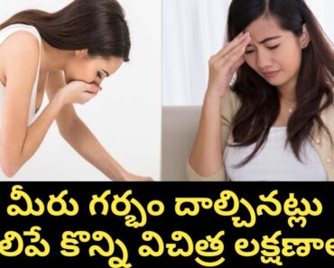 Early Pregnancy Symptoms in Telugu l Pregnant women Health Tips