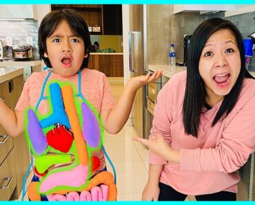 Learn about Parts of your body for kids | Educational Video Ryan's World