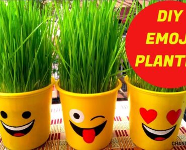 DIY Emoji Planter || Planter Ideas From Waste || Craft Ideas For Kids || Recycled Pot Ideas ||