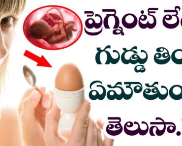 What Happens if Pregnant Women Have EGG? | Best Health Tips in Telugu | Latest News | VTube Telugu