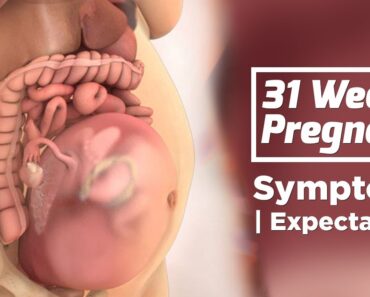 31 Weeks Pregnant Baby Position | Health Care Tips For Pregnant Women