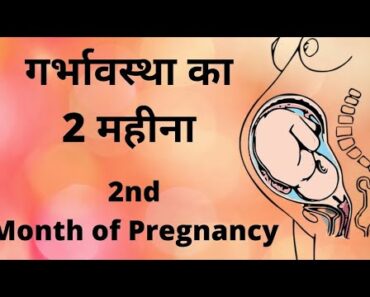 Pregnancy Month 2 | Sympyoms, Tips & Updates | Pregnancy in hindi