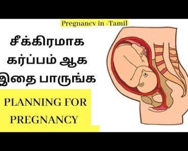 Pregnancy planning tips in tamil | pregnancy tips | When to try to get pregnant