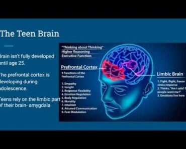 Parenting Teens-Part 1 (Become an Expert on Adolescent Development)