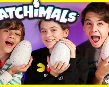 NEW HATCHIMALS MAGICAL SURPRISE EGG OPENING CHALLENGE! Kids Toy Review! |  KITTIESMAMA