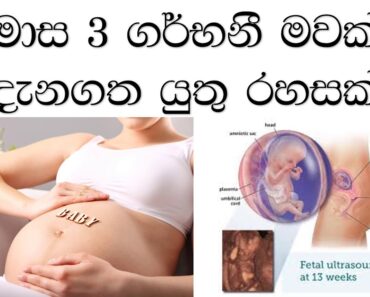 pregnant sinhala advice 3 months secreats – ගර්භනී මවක් මාස තුනක් වූ පසු දැනගතයුතු කරුණු