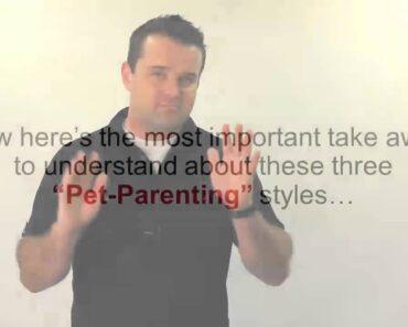 The 4 Pet Parenting Styles