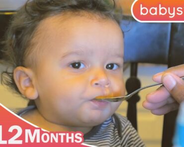 First Bites |  Ages 9 to 12 Months | Parenting Tips by babystep.tv