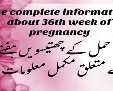 Pregnancy At 36th Week  ||The Complete Mother's Guide About 36th Week Of Pregnancy||