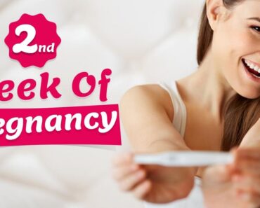 2nd week of pregnancy   Symptoms, Tips And Body Changes