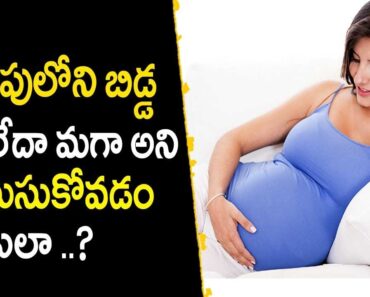 Pregnant Women Health Care Tips  – Pregnant Women Tips In Telugu ||  Mana Arogyam