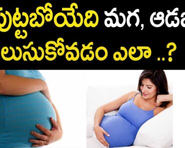 Best Health tips for Pregnant Women – Mana Arogyam | Pregnant Women Health Tips