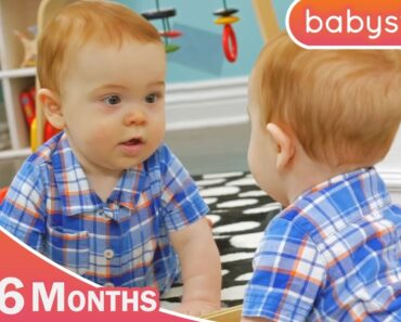 A Growing Baby’s Day | 3 to 6 Months | Parenting Tips for Babies by Babystep.tv