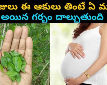 How To Get Pregnant Women Fast in Telugu || Tips To Get Pregnant Naturally in Telugu
