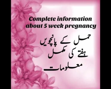 Pregnancy at 5 weeks |week by week pregnancy | pregnancy guide | mother's guide
