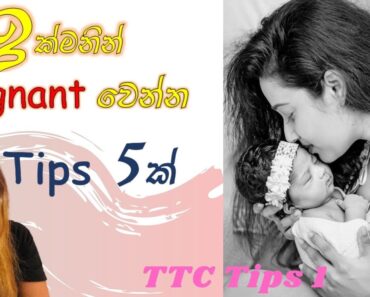 ඉක්මනින් ගැබ් ගැනීමට | Get Pregnant Fast | Sinhala Pregnancy Tips