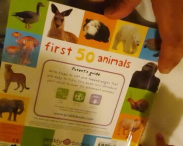 Educational Books – 50 First Animals – Parents Guide