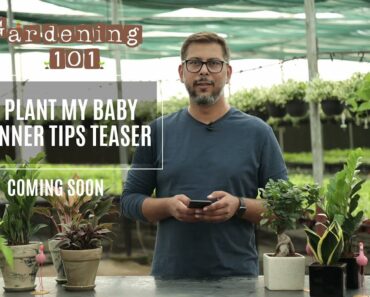 Gardening 101 | Step by Step Guide for Beginners | Teaser