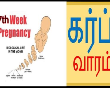 கர்ப்பகாலம் 27th வாரம் பற்றிய குறிப்புகள்|27th week pregnancy tips|week by week pregnancy tips tamil