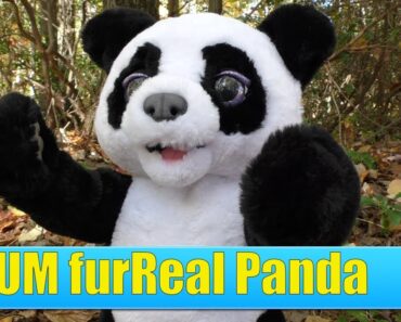 FurReal Plum Review, The Curious Panda Bear Cub Interactive Plush Toy