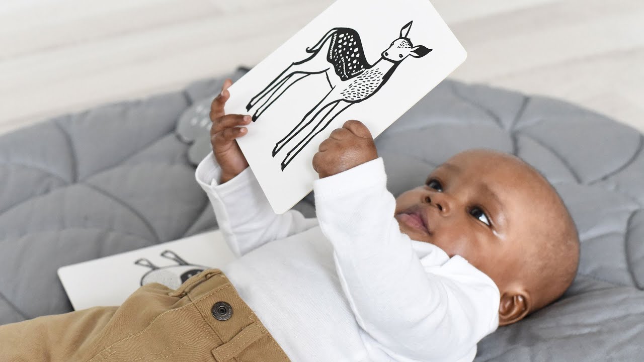 Baby's Visual Development What Do Babies See?