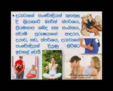 Advice for Pregnant Mothers in Sri Lanka