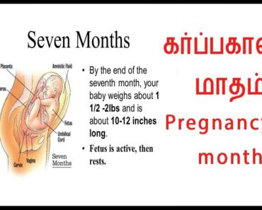 கர்ப்பகாலம் மாதம்-7பற்றிய குறிப்புகள்|7th month pregnancy tips|Mnth of 7th pregnancy tips|karpakalam
