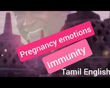 PVH Advice For An Pregnant Mother On Emotions And Coronavirus [Audio Tamil]