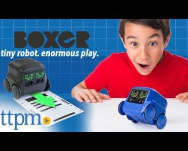 Boxer – Interactive A.I. Robot Toy from Spin Master