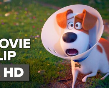 The Secret Life of Pets 2 Movie Clip – Parenting Advice (2019) | Movieclips Coming Soon