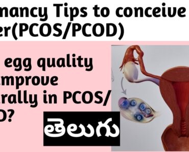 Pregnancy Tips | PCOS/PCOD | How egg quality can improve naturally to conceive Pregnancy.