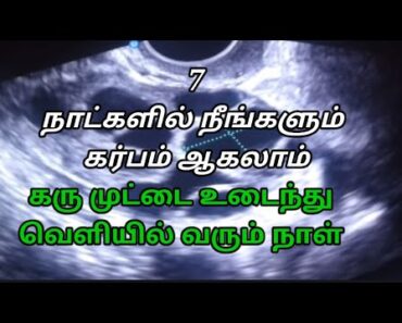 How to get pregnant fast in tamil