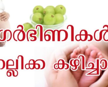 ഗർഭിണി ആയിരിയ്ക്കുമ്പോൾ നെല്ലിക്ക കഴിച്ചാൽ? | Eating gooseberry while pregnant|Malayalam health tips