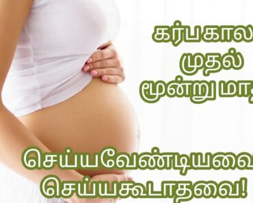 முதல் 3 மாத கர்ப்பம்/first 3 months Pregnancy tips in Tamil/karpa kaalam 3 months tips