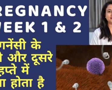 PREGNANCY 1st WEEK AND 2nd WEEK