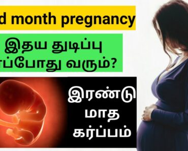 pregnancy tips in tamil | baby heartbeat in pregnancy in tamil | 2nd month pregnancy in tamil