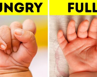 18 Important Things Babies Are Trying to Tell You