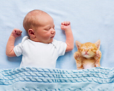 6 Tips To Deal With A Catnapping Baby